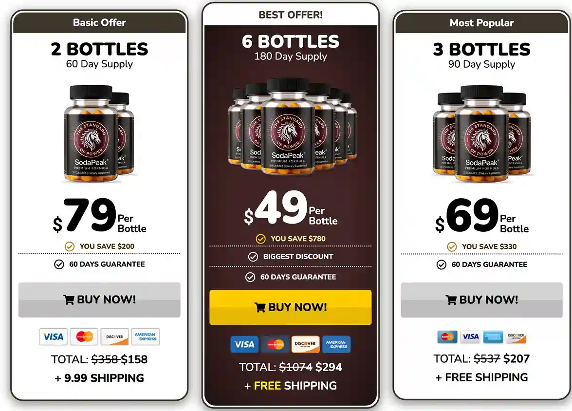 SodaPeak pricing packages — 2, 3 and 6 bottle options with discount pricing